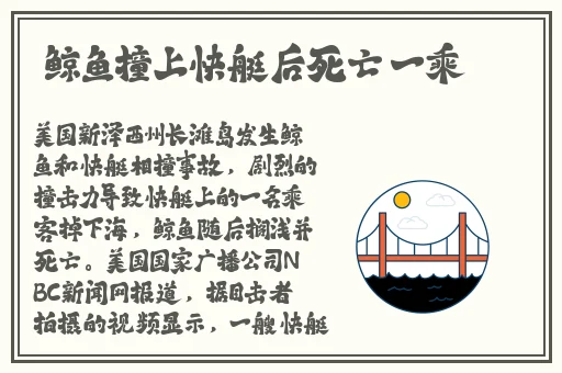 打扑克没有马赛克